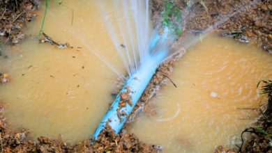 Some of the Common Reasons Behind Pipe Failure