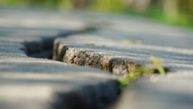 The Most Common Causes of Cracks in Driveways