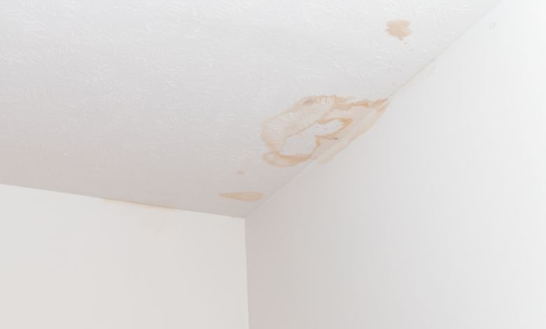 Common Causes of Water Damage to Your Ceiling