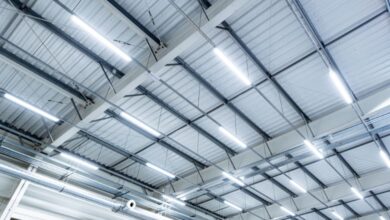 Green Initiatives To Implement in Your Warehouse