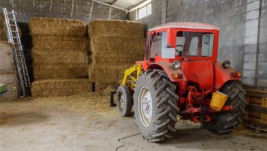 An old red tractor sitting in the barn with hay bales stacked against the side wall. There are ladders off to the left side.