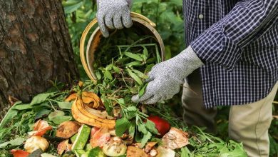 A person wearing a checked shirt and gloves is dumping a bucket of vegetable scraps into a compost pile.