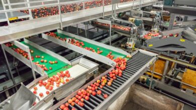 An overhead view of a large, multi-level food processing facility with red apples moving on conveyor belts.
