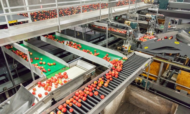 An overhead view of a large, multi-level food processing facility with red apples moving on conveyor belts.