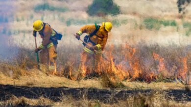 Two wildland firefighters wearing bright yellow hard hats stand among smoke while using tools to put out a wildfire.