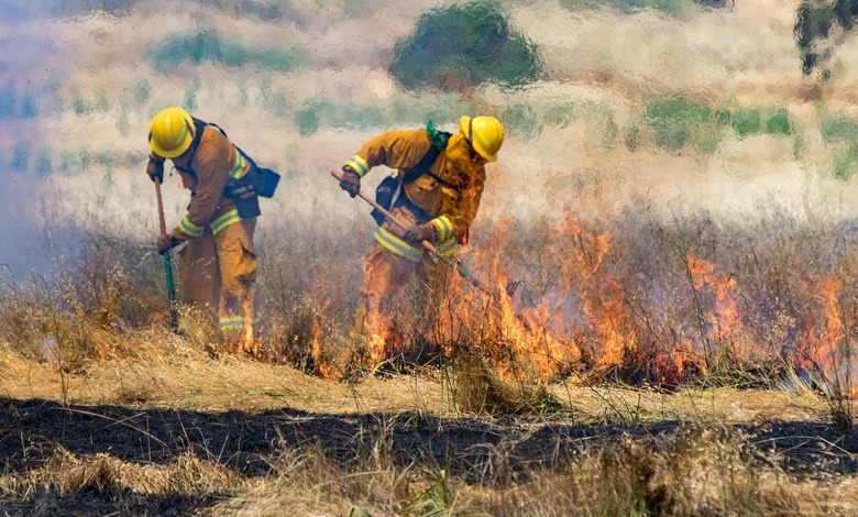 Two wildland firefighters wearing bright yellow hard hats stand among smoke while using tools to put out a wildfire.