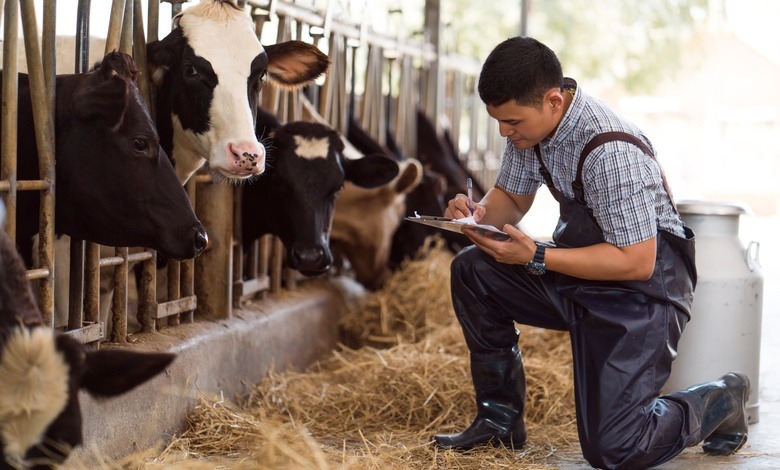 A farmer wears black overalls as he kneels next to dairy cows in their stalls. He's writing on a clipboard.