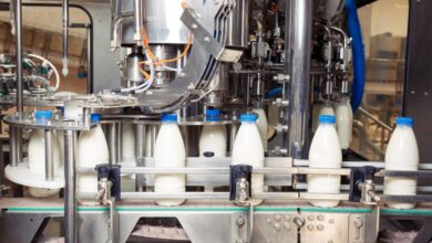 A dairy packaging facility with numerous clear milk bottles with blue caps being fed through a bottling machine.