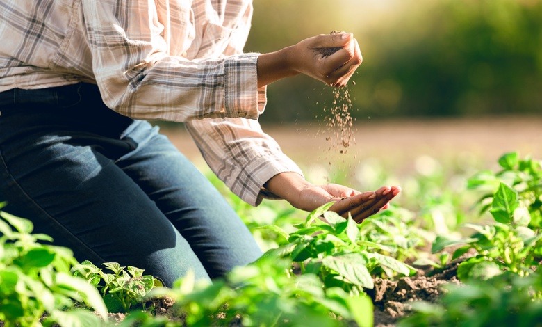 A person, kneeling in a farm's field, lets a fistful of soil slowly drop from one of their hands to the other.