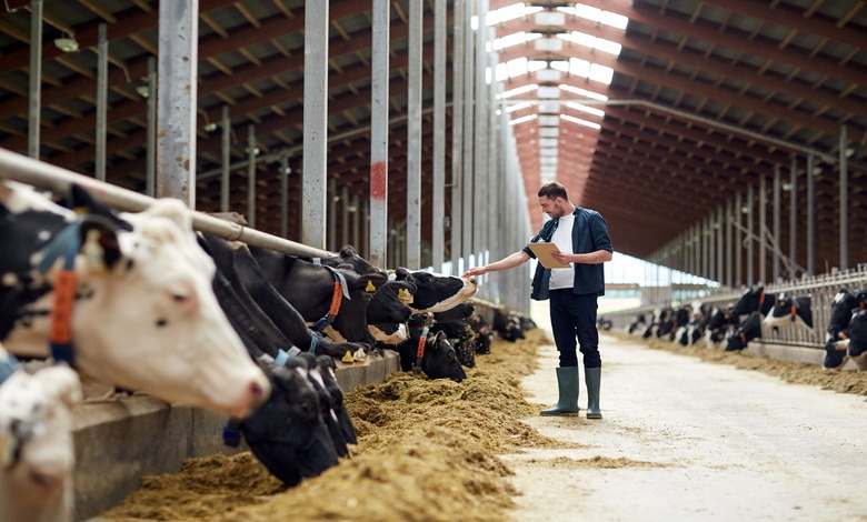 A man holding a clipboard while petting the head of a cow inside a large farm with high ceilings and multiple cows.