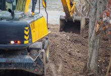A yellow excavator digging into the dark, rocky soil on a construction site. Thin trees are growing in the soil nearby.