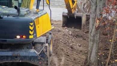 A yellow excavator digging into the dark, rocky soil on a construction site. Thin trees are growing in the soil nearby.